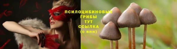 первитин Арсеньев